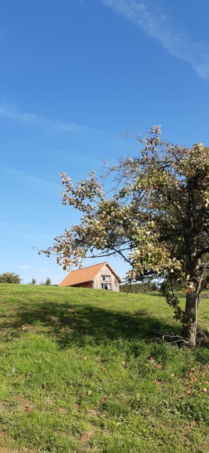 Boerderaaj Vakantiewoning Білзен Екстер'єр фото